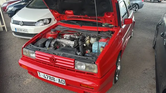 Interior de puerta Volkswagen Golf G60